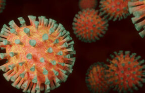 rebrotes coronavirus España Verano